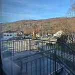 W Beskidach Niezapominajka Przy Stoku ライツァ