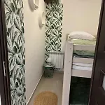 W Beskidach Niezapominajka Przy Stoku * ライツァ