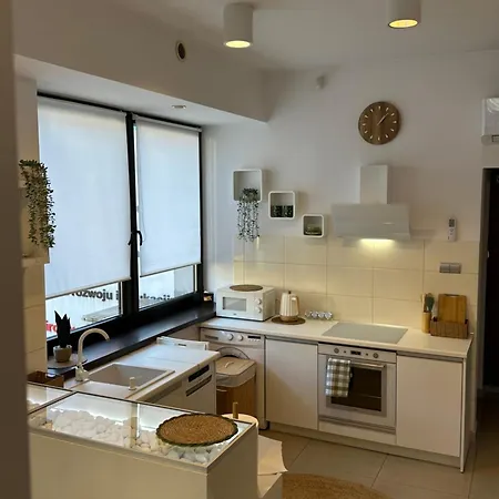 W Beskidach Niezapominajka Przy Stoku Rajcza