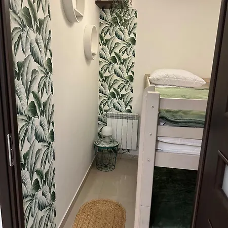 W Beskidach Niezapominajka Przy Stoku * Rajcza