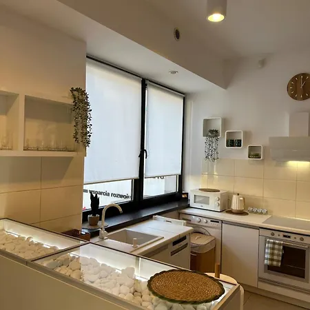 W Beskidach Niezapominajka Przy Stoku Rajcza