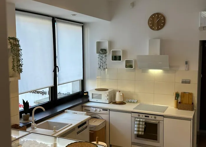 W Beskidach Niezapominajka Przy Stoku 拉伊恰