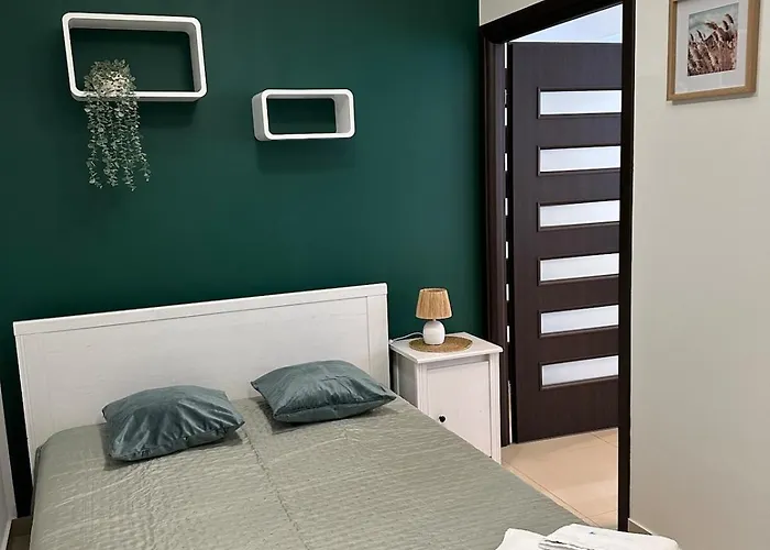 W Beskidach Niezapominajka Przy Stoku Rajcza