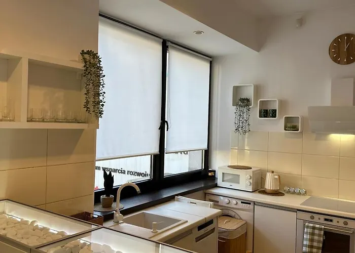 W Beskidach Niezapominajka Przy Stoku Rajcza